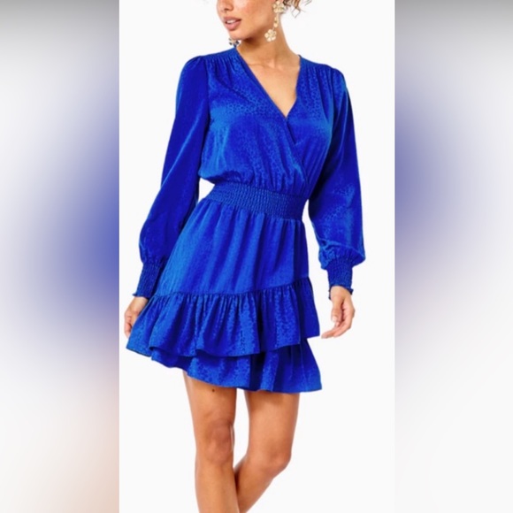 ❌ SOLD ❌ Lilly Pulitzer Cristiana Dress Size 4 - Picture 5 of 8